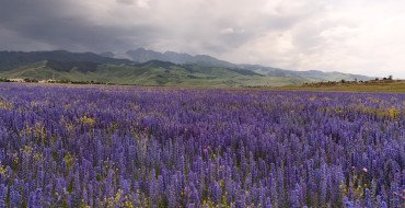 September in Kazakhstan: Best Places to Visit, Weather & 2026 Travel Guide