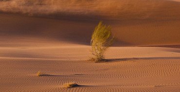 How to Buy Train Tickets from Almaty to Tashkent