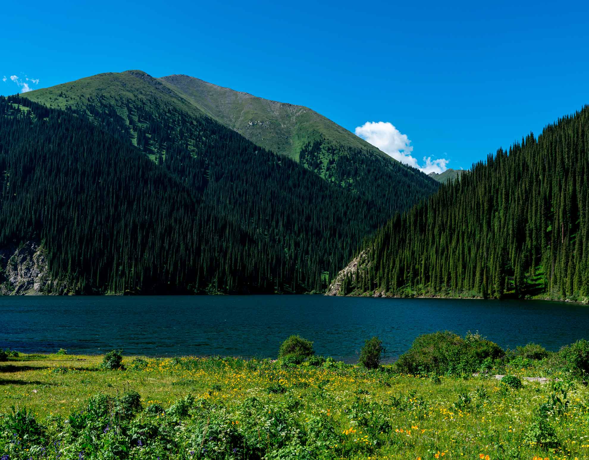 Kolsay_lake_2_national_park.jpg